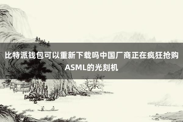 比特派钱包可以重新下载吗中国厂商正在疯狂抢购ASML的光刻机