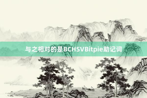 与之相对的是BCHSVBitpie助记词