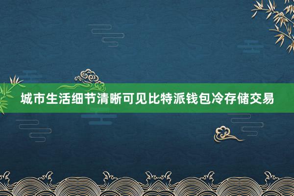 城市生活细节清晰可见比特派钱包冷存储交易