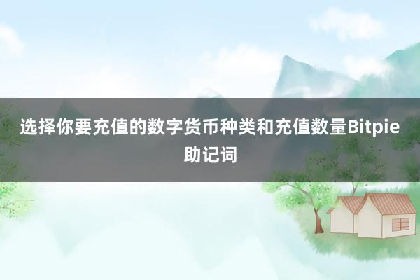 选择你要充值的数字货币种类和充值数量Bitpie助记词