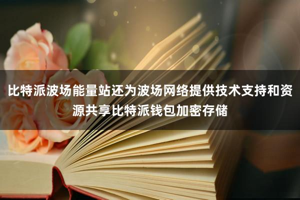 比特派波场能量站还为波场网络提供技术支持和资源共享比特派钱包加密存储