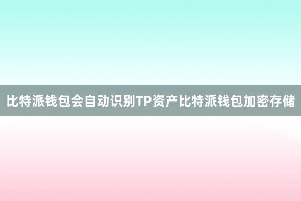 比特派钱包会自动识别TP资产比特派钱包加密存储