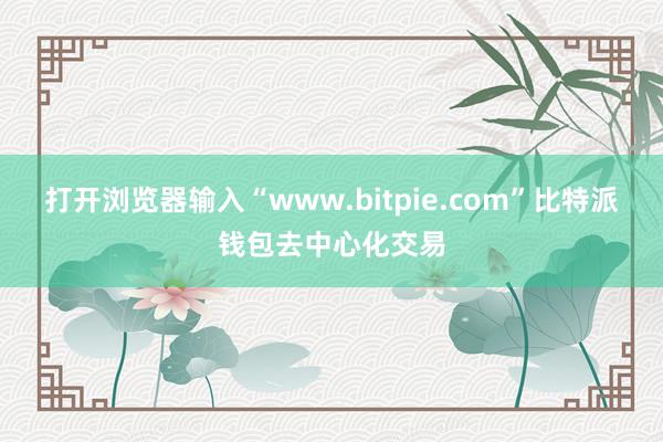 打开浏览器输入“www.bitpie.com”比特派钱包去中心化交易