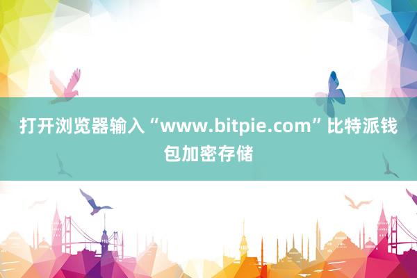 打开浏览器输入“www.bitpie.com”比特派钱包加密存储