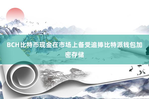 BCH比特币现金在市场上备受追捧比特派钱包加密存储